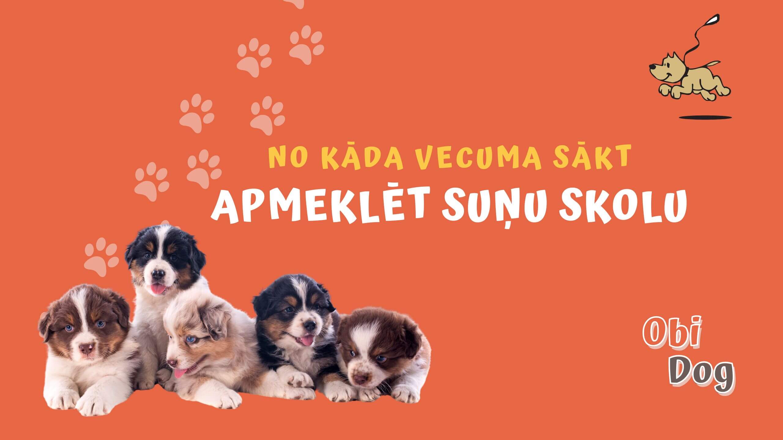 No kāda vecuma sākt apmācīt suni
