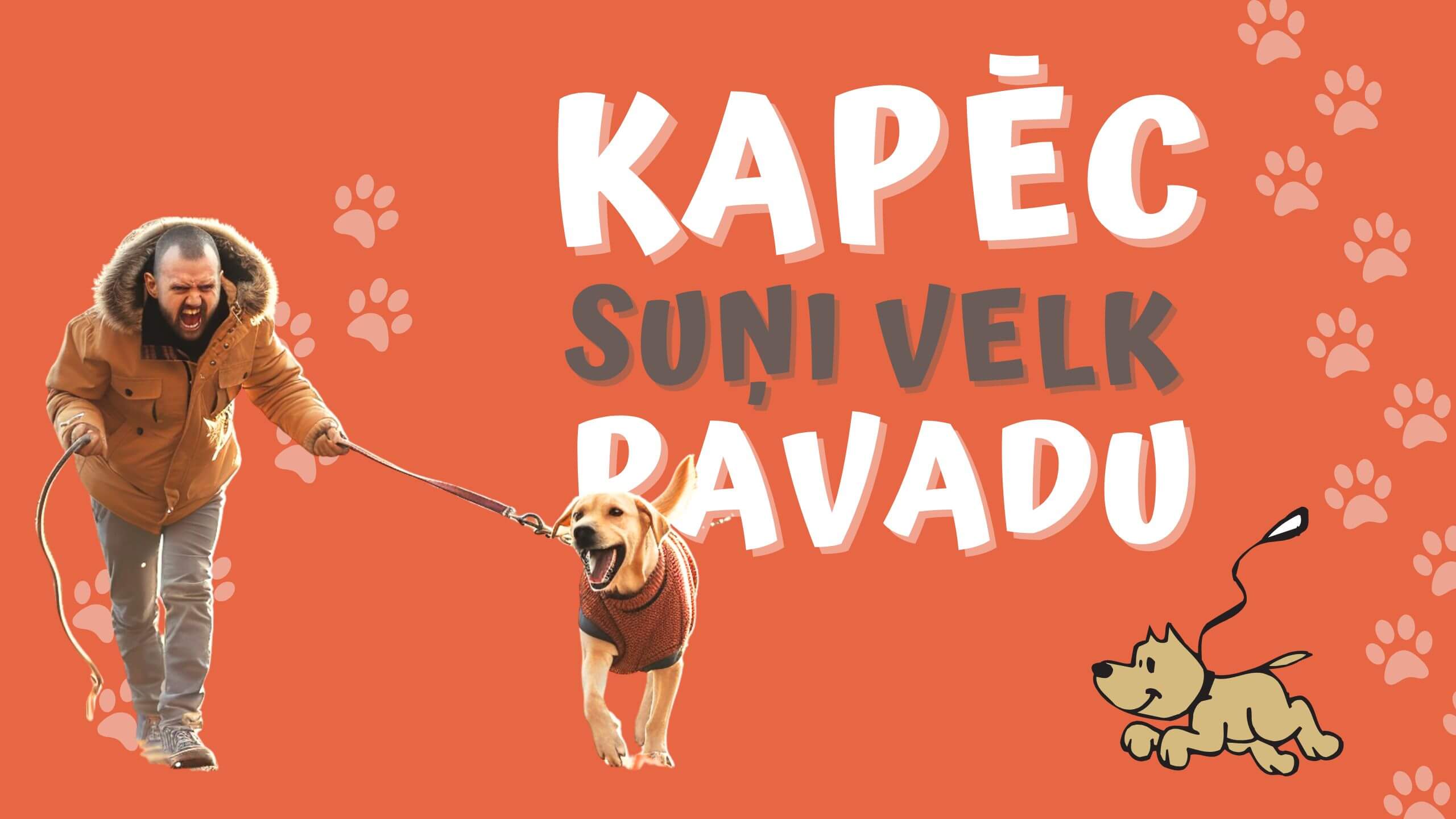 Ko darīt, ja suns pastaigās velk? – Izproti cēloņus un atrodi ilgtspējīgus risinājumus