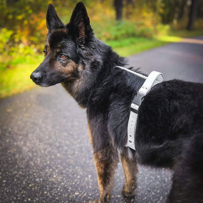 EasyFit Anatomical Waterproof Dog Harness - White