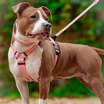 EasyFit Anatomical Waterproof Dog Harness - Pink