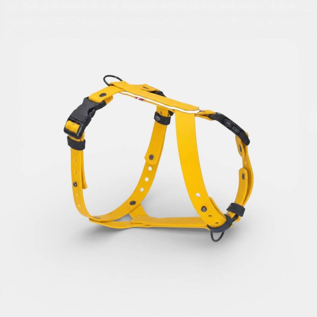 EasyFit Anatomical Waterproof Dog Harness