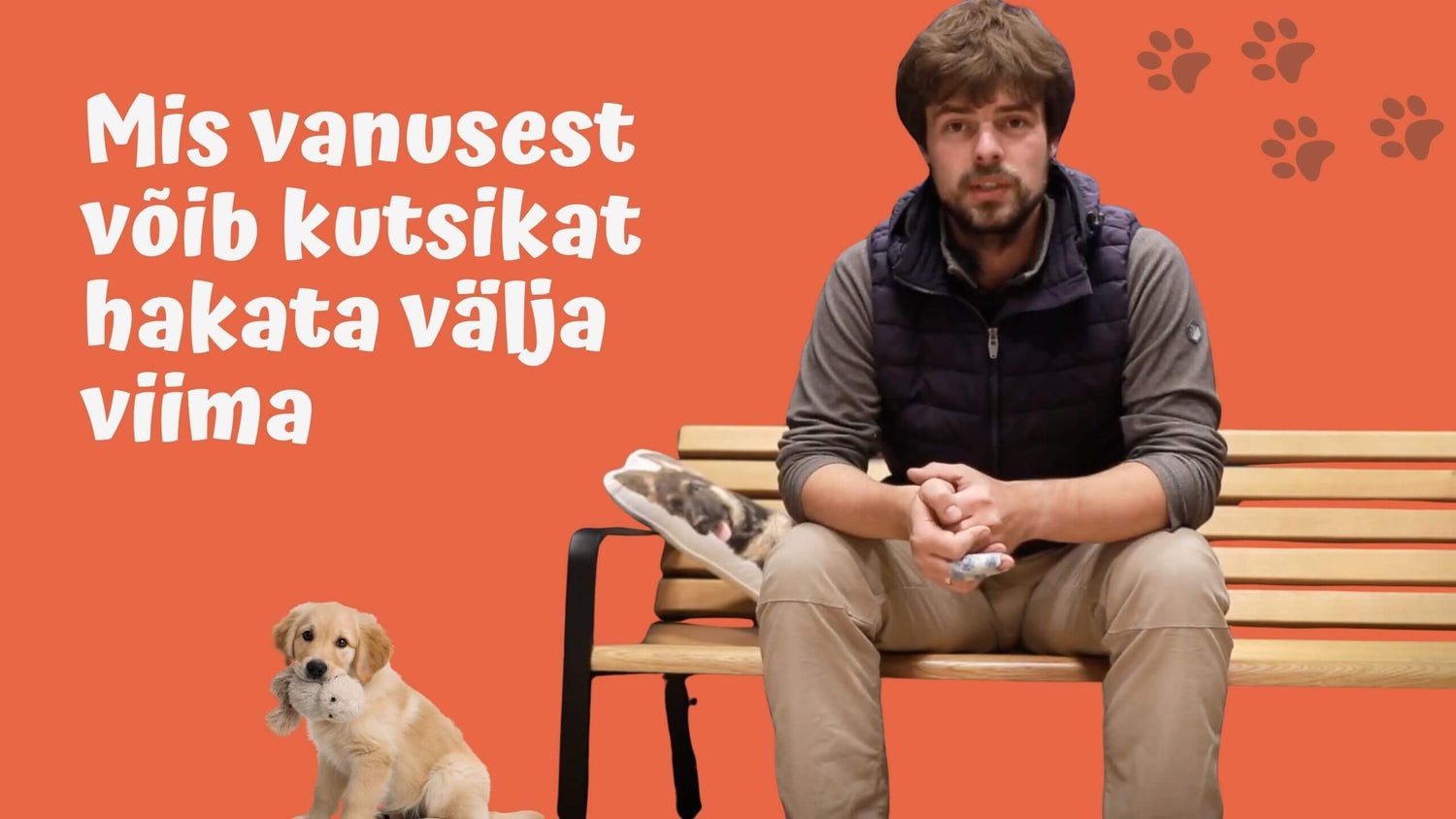 Kutsika karantiin vs. sotsialiseerimine: kas me kaitseme neid või rikume nende elu?