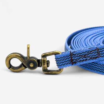 Classic Nylon Dog Leash with Anti-Slip Grip