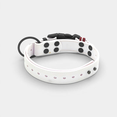 EasyFit waterproof collar for dogs - White