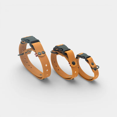 EasyFit veekindel koera kaelarihm – Pruun