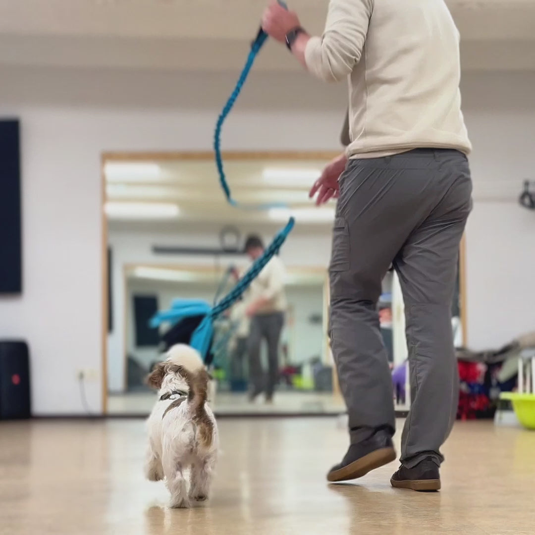 Ielādēt video: Rumla Vaim summutab mänguasja Biziga